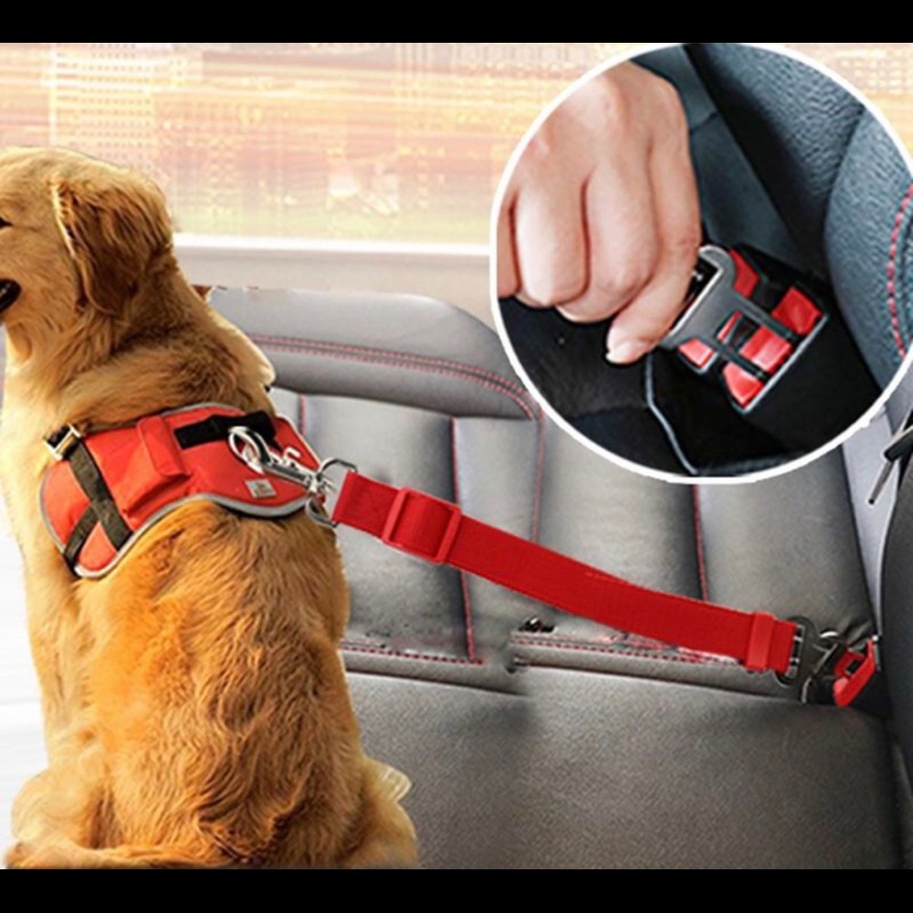 Pet safety belts